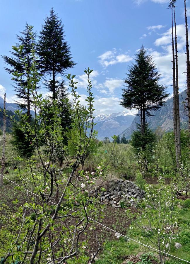 Getaway Stays Manali المظهر الخارجي الصورة